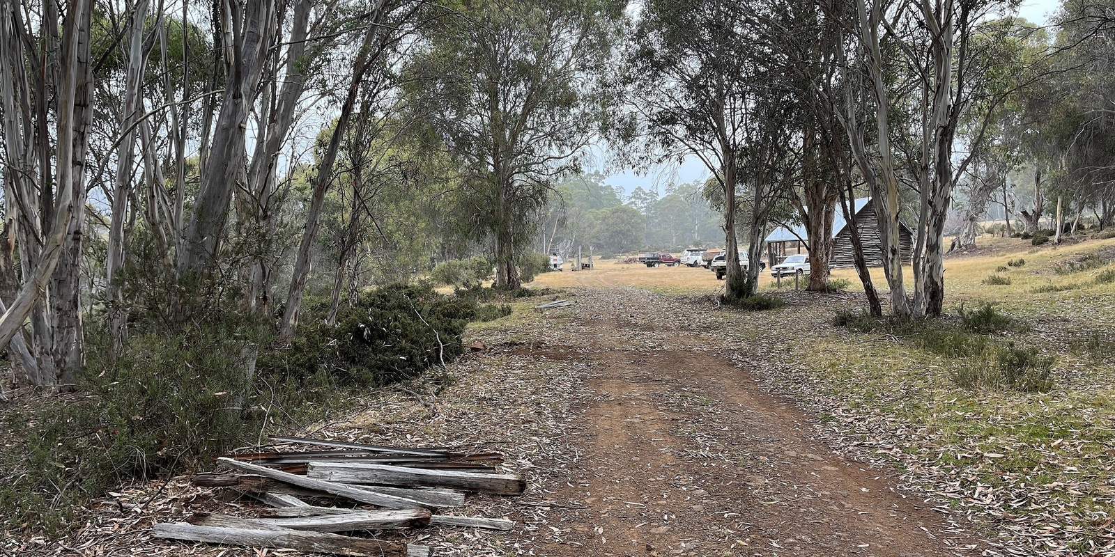 Banner image for TLC Volunteering - Fence removal at Pine Tier