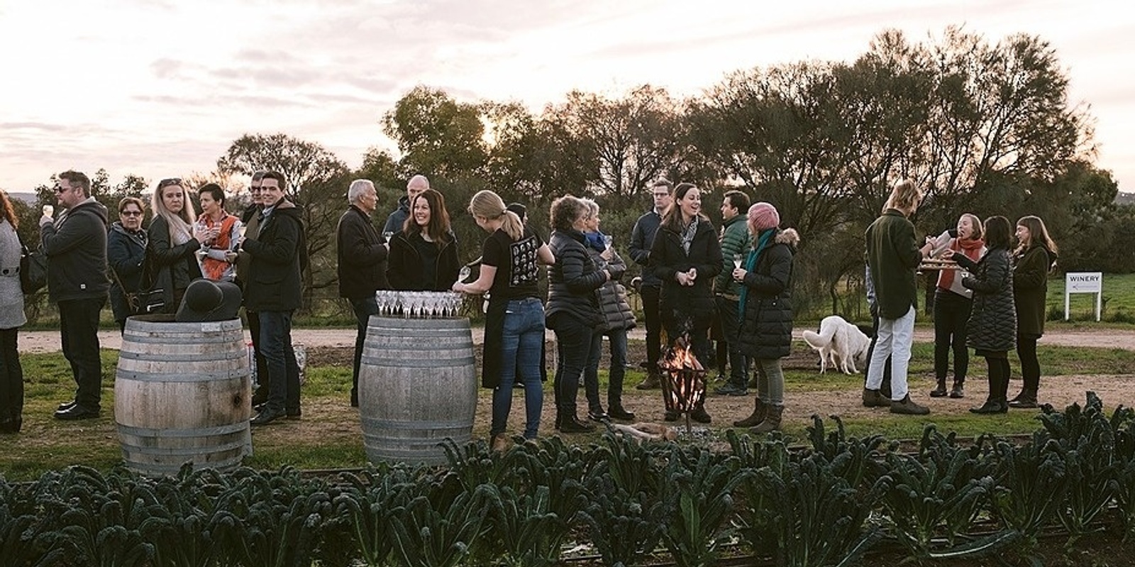 Banner image for Fire in the Fields of Ngeringa x Andrew Wandless