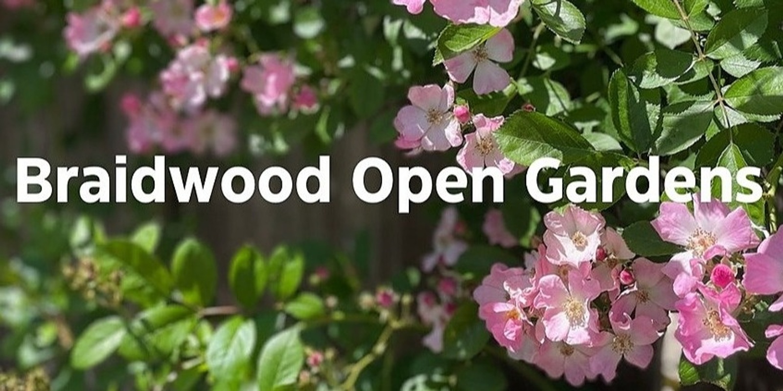 Banner image for Braidwood Open Gardens 2024