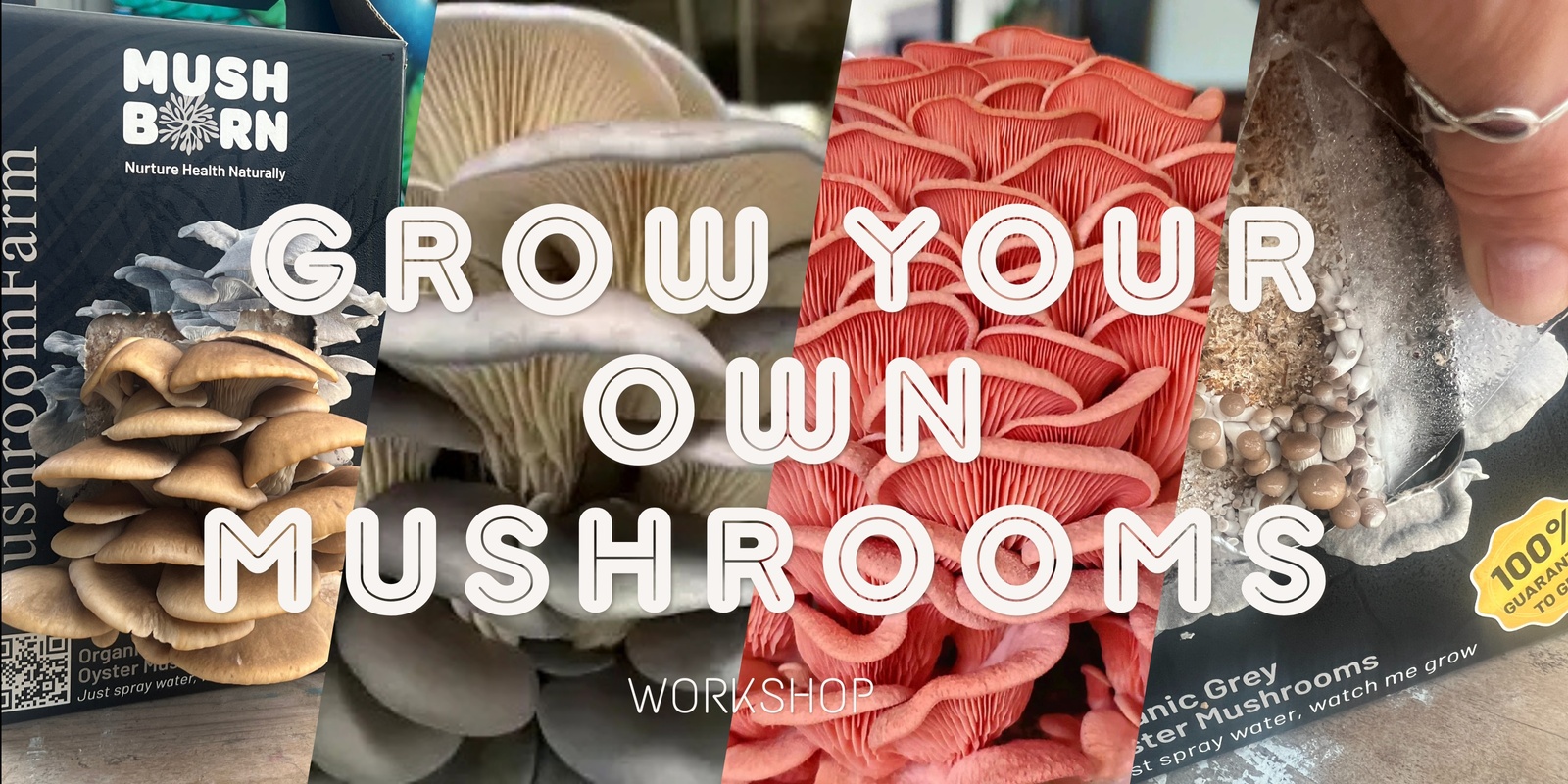 Banner image for Learn To Grow Your Own Mushrooms