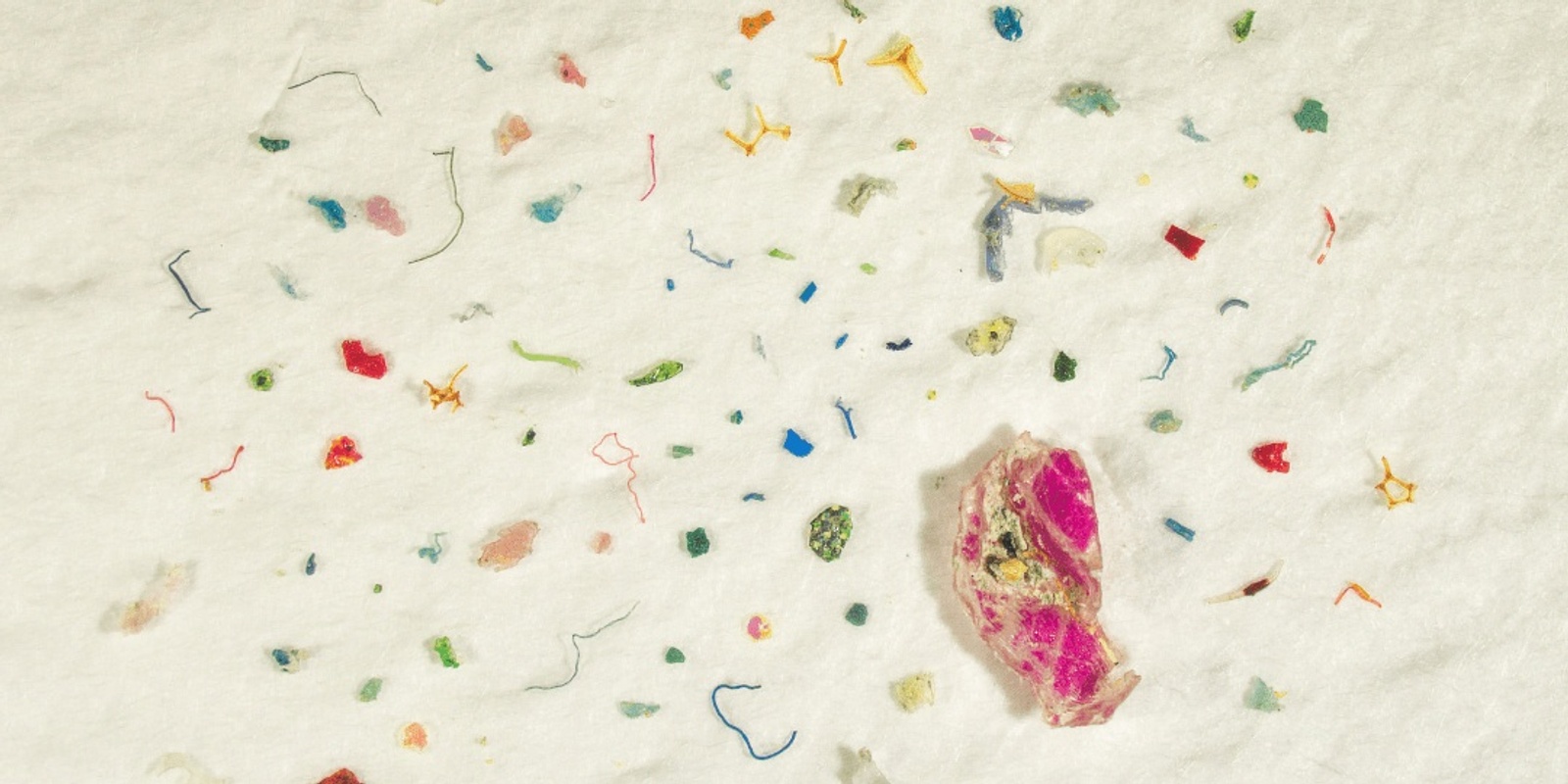 Banner image for Microplastics in our Soils