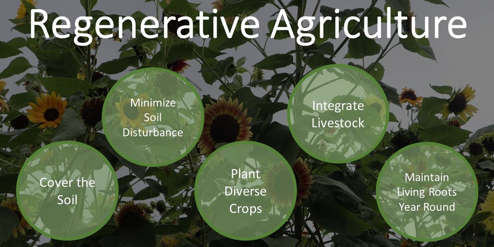 Banner image for Grow Your Own - Regenerative Agriculture Workshop