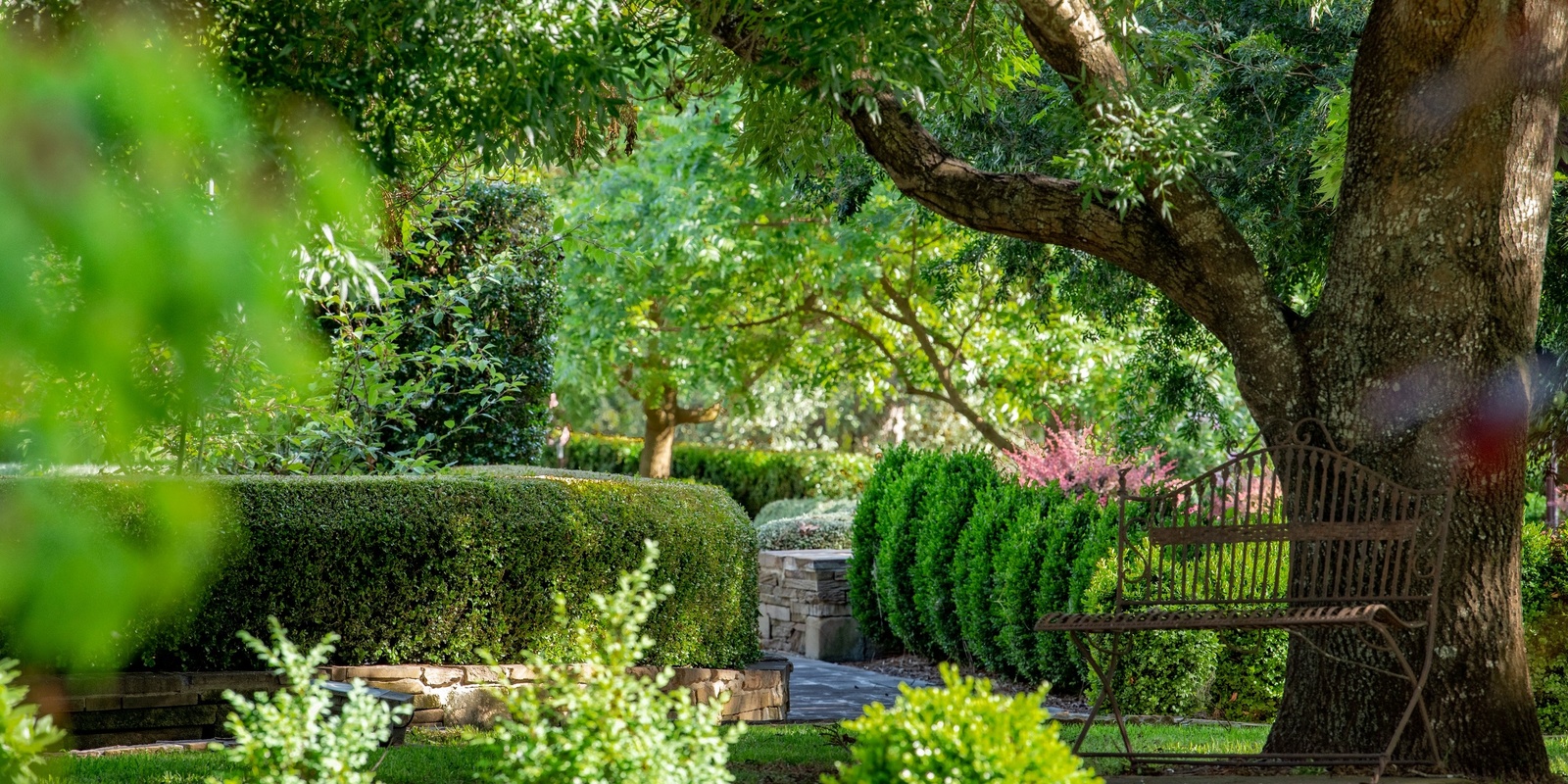 Banner image for International Women's Day Garden Party