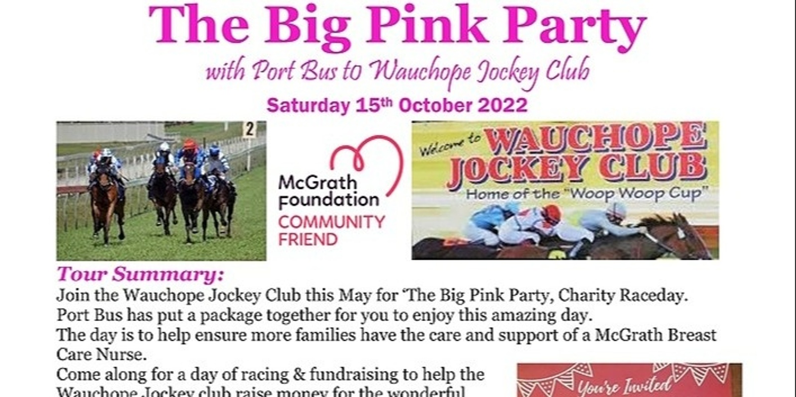 Banner image for The Big Pink Party