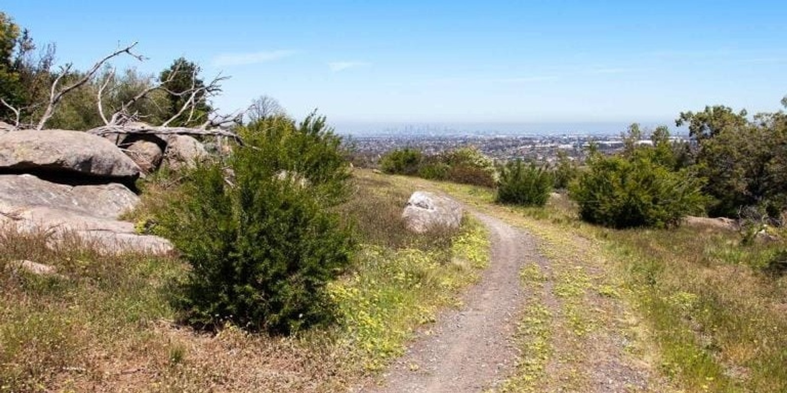 Banner image for Kanga’s and Ruins of Woodlands Park / Gellibrand Hill - Grade 3 (Medium)