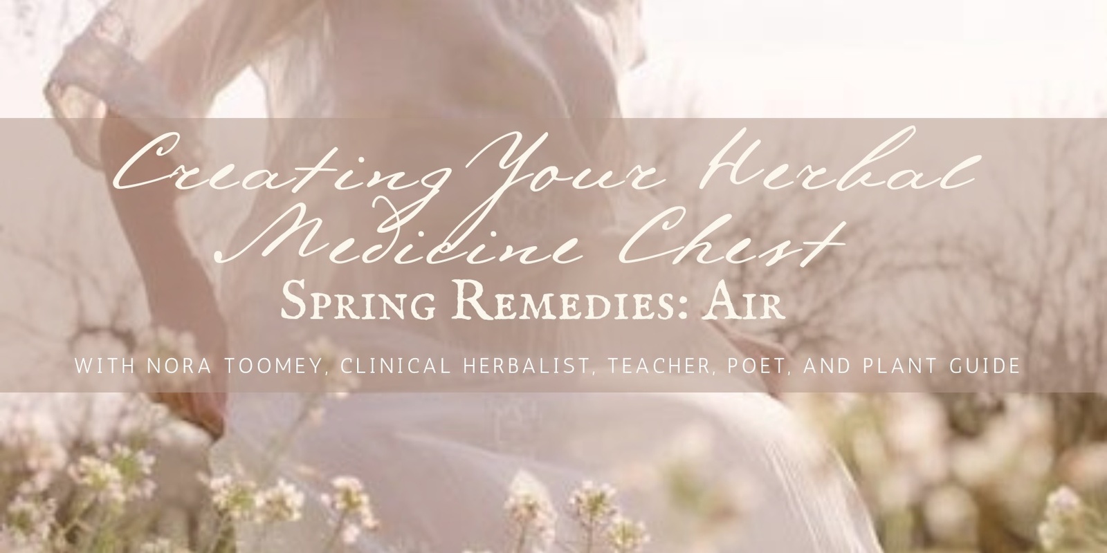 Banner image for  Creating Your Herbal Medicine Chest: Spring Remedies