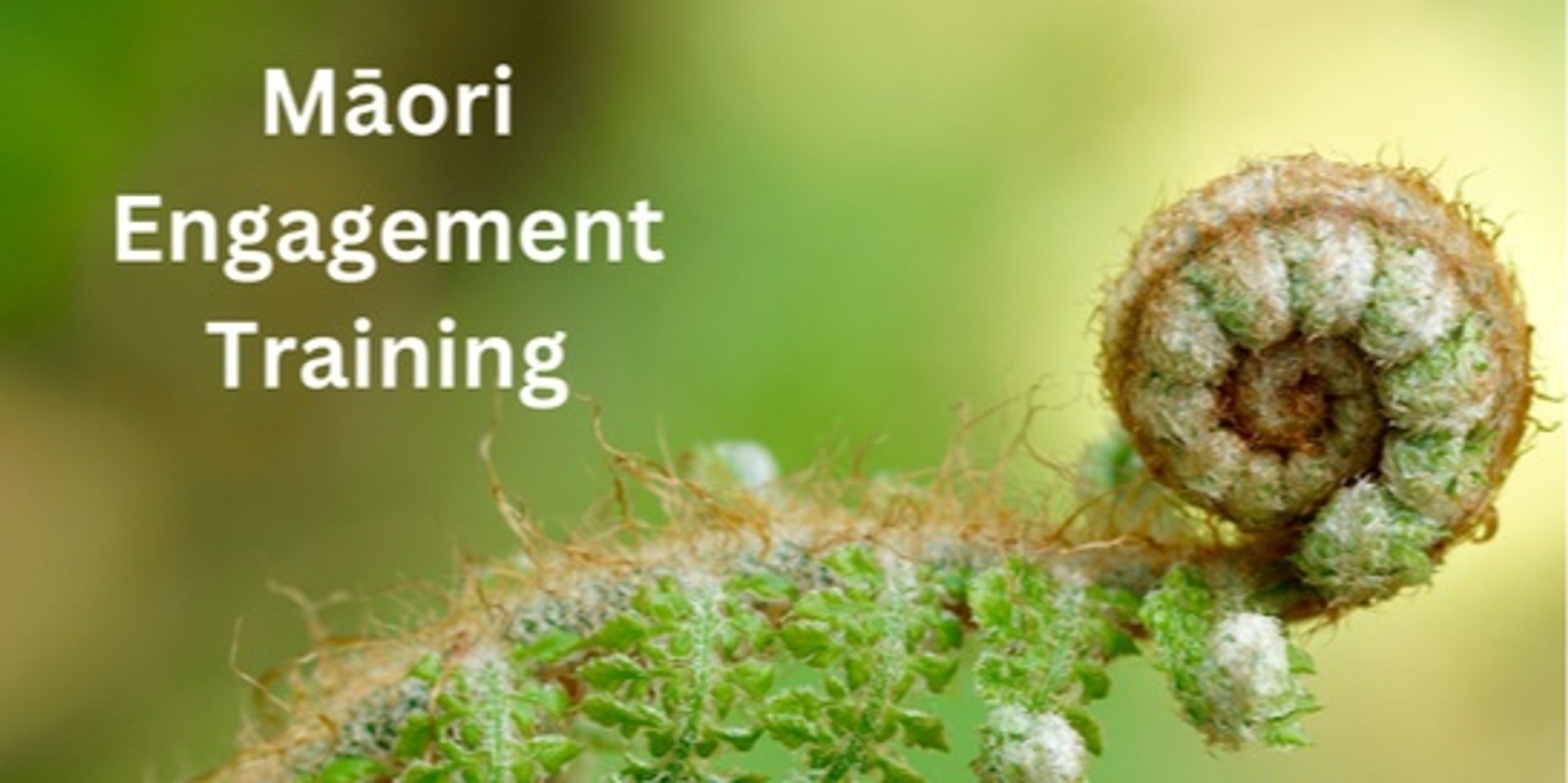 Banner image for Māori Engagement Training - Module 1 2025