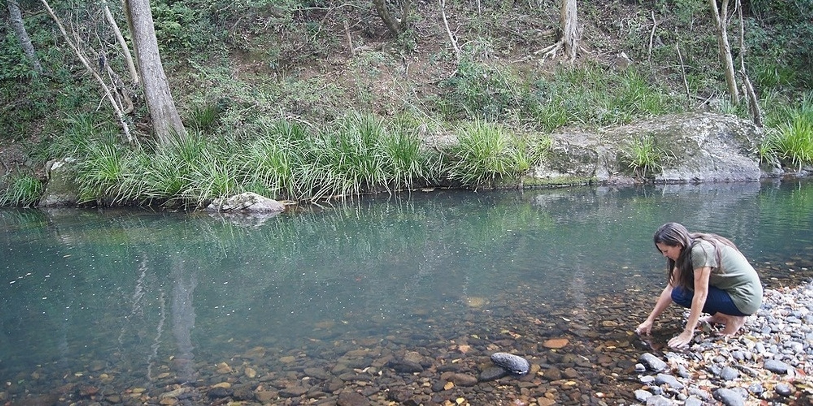 Banner image for Guided Nature Therapy & Photographic Walk - Chillingham (easy-any fitness level)