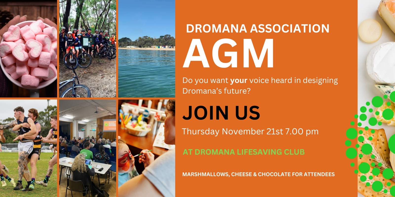 Banner image for Dromana Association AGM 2024