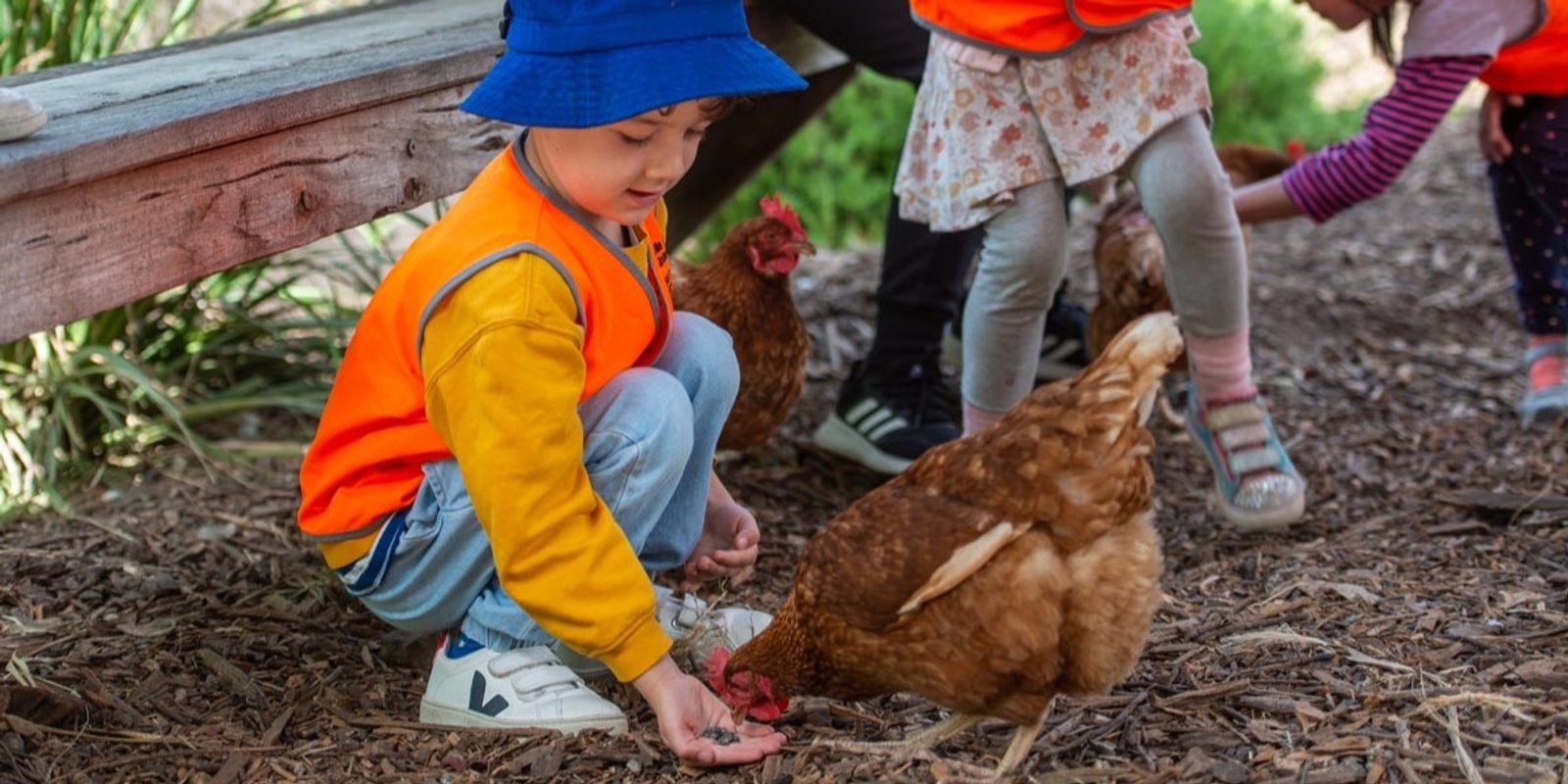 Banner image for Farm to fork (ages 3 to 5)