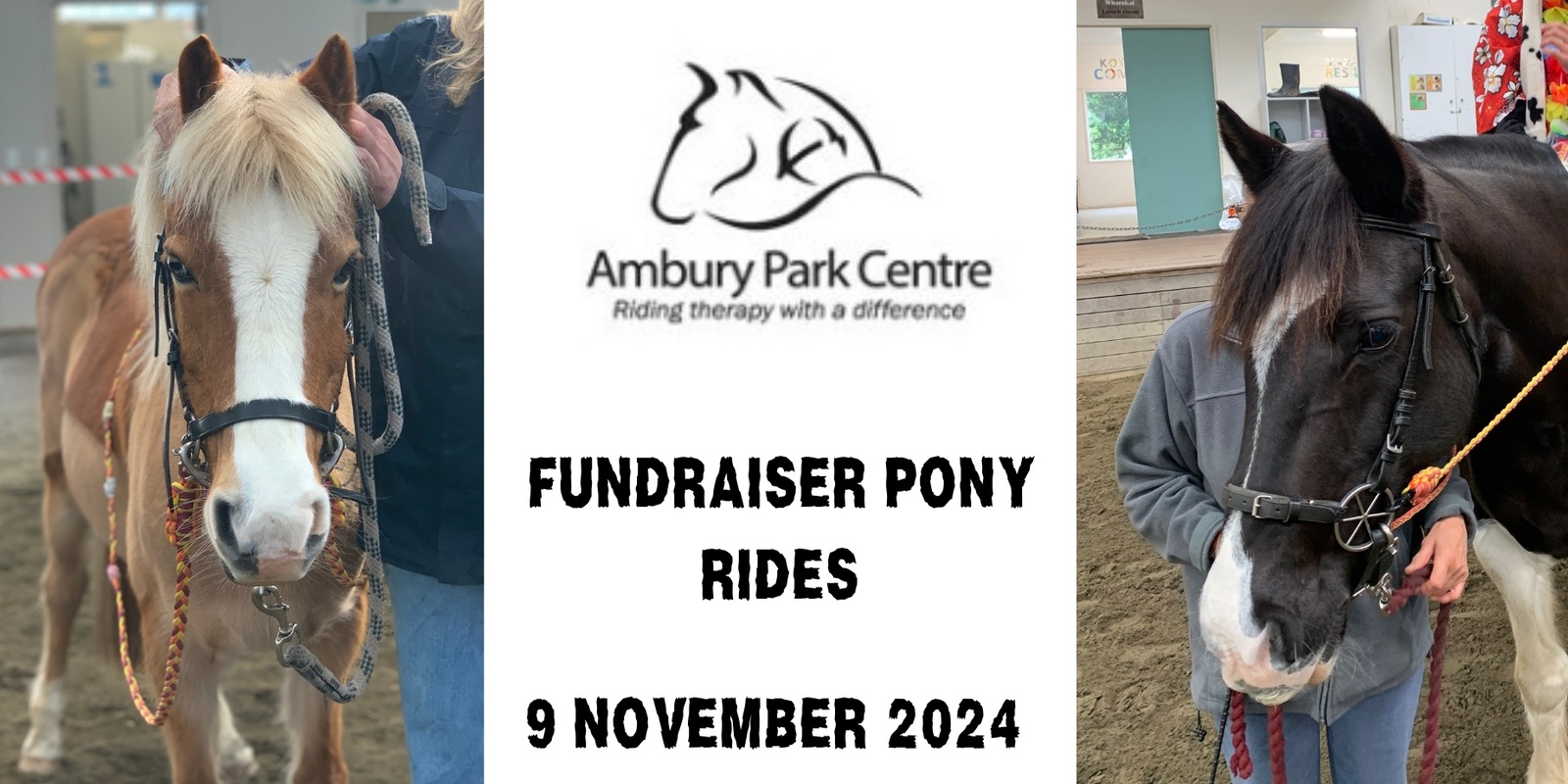 Banner image for Pony Rides @ Ambury Park Centre