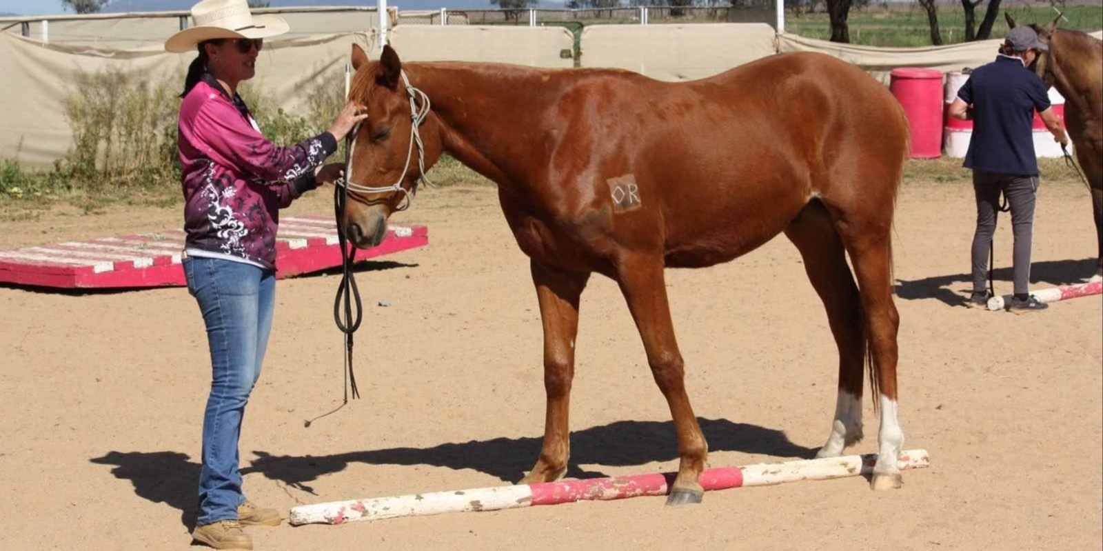 Banner image for October Halloween Aussie Obstacles & Horsemanship Mini Challenge