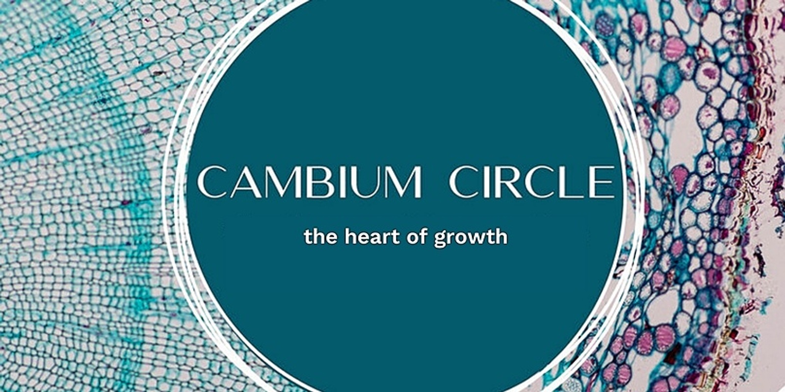 Banner image for Cambium Circle October