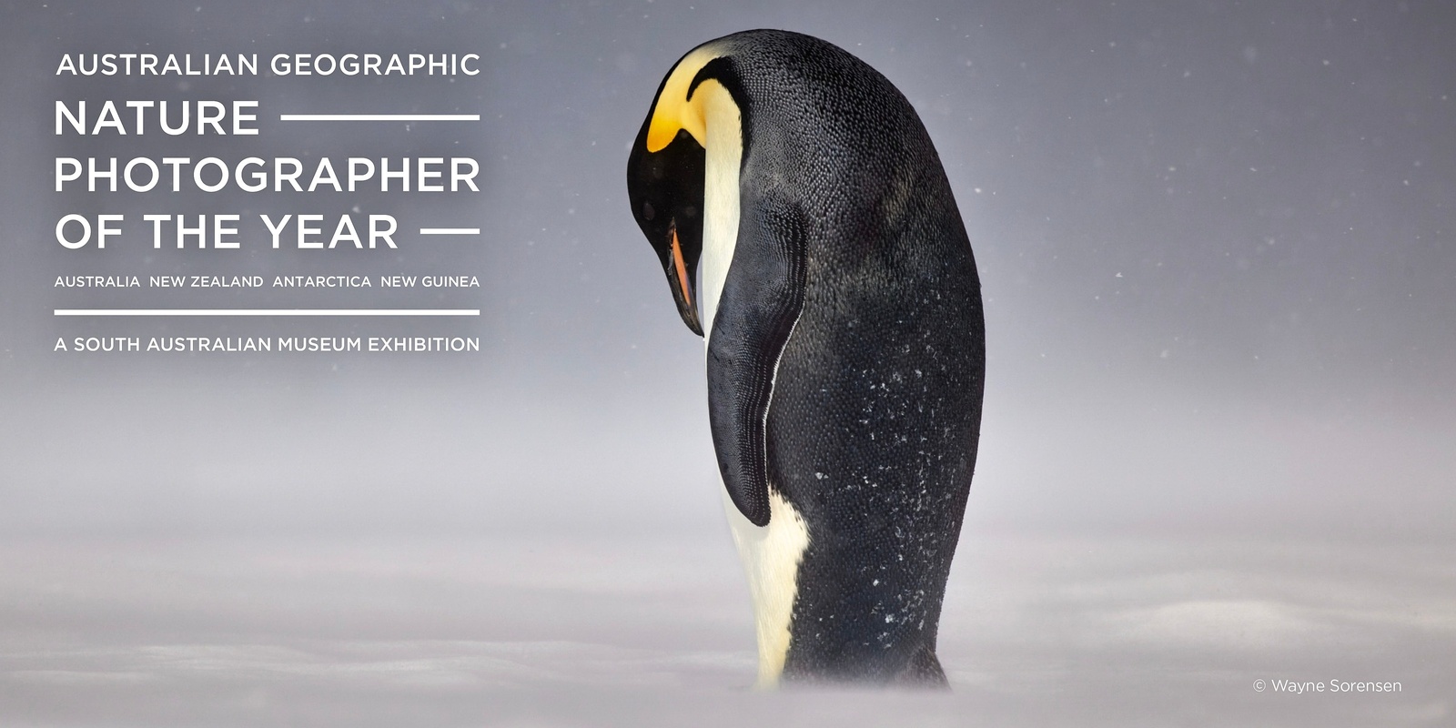 Banner image for 2024 Australian Geographic Nature Photographer of the Year Exhibition
