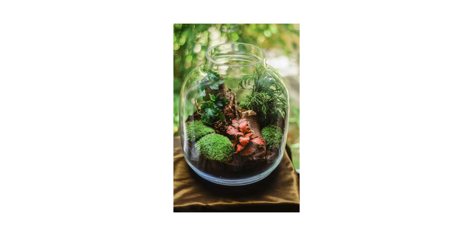 Banner image for Terrarium Making