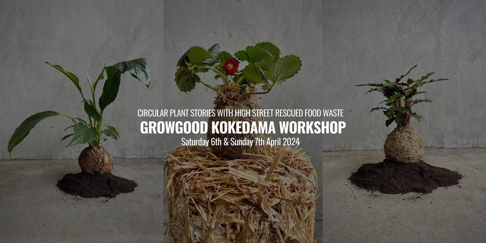 Banner image for GrowGood Kokedama workshop at the Off Grid Living Festival 
