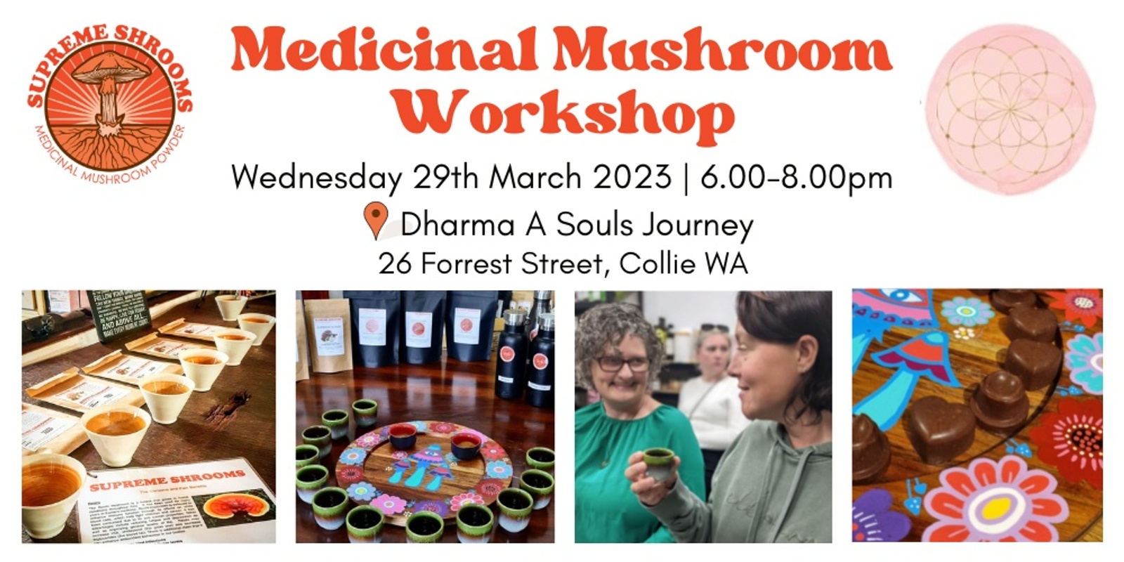 Medicinal Mushrooms Workshop at Dharma, Collie