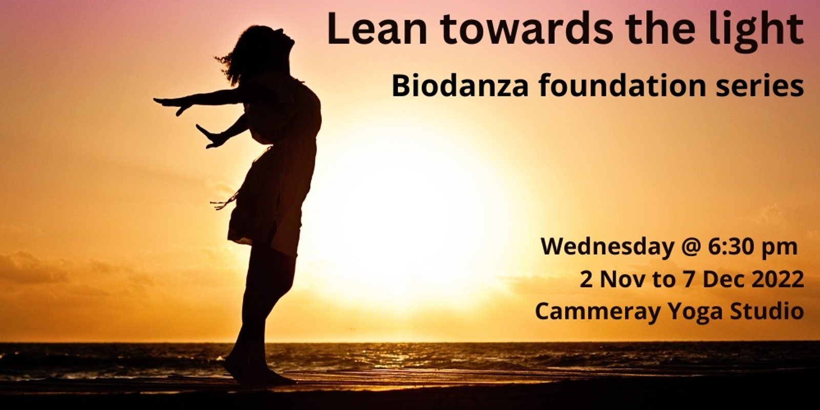 Banner image for Nov/Dec Biodanza Foundation Series