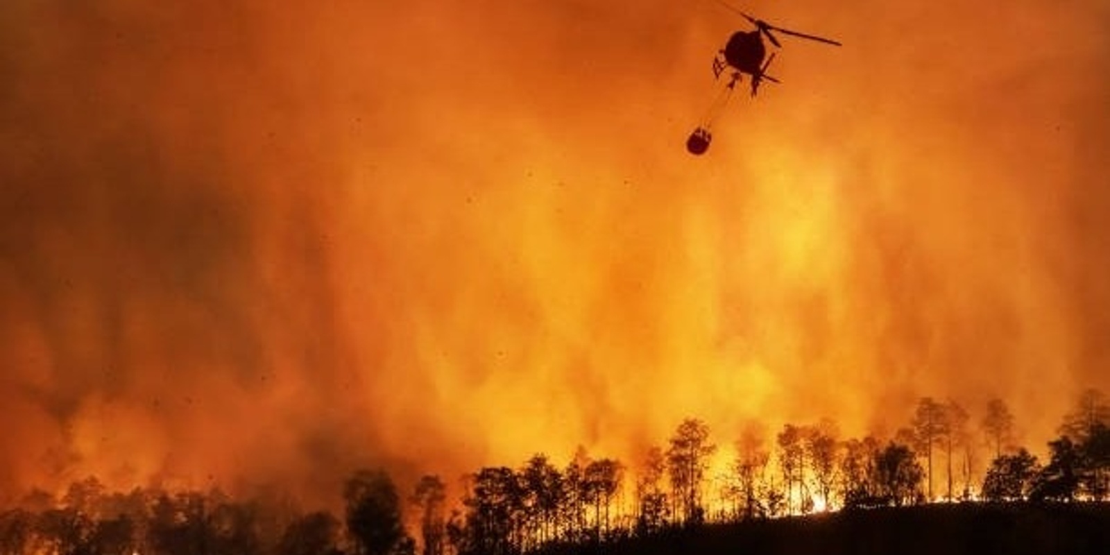 Banner image for Chats for the Goals: Extreme Weather Disaster Simulation 