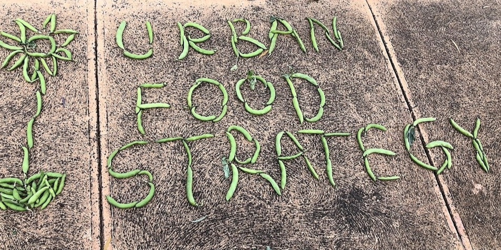 Banner image for Banyule's Urban Food Strategy – Second Community Co-design workshop
