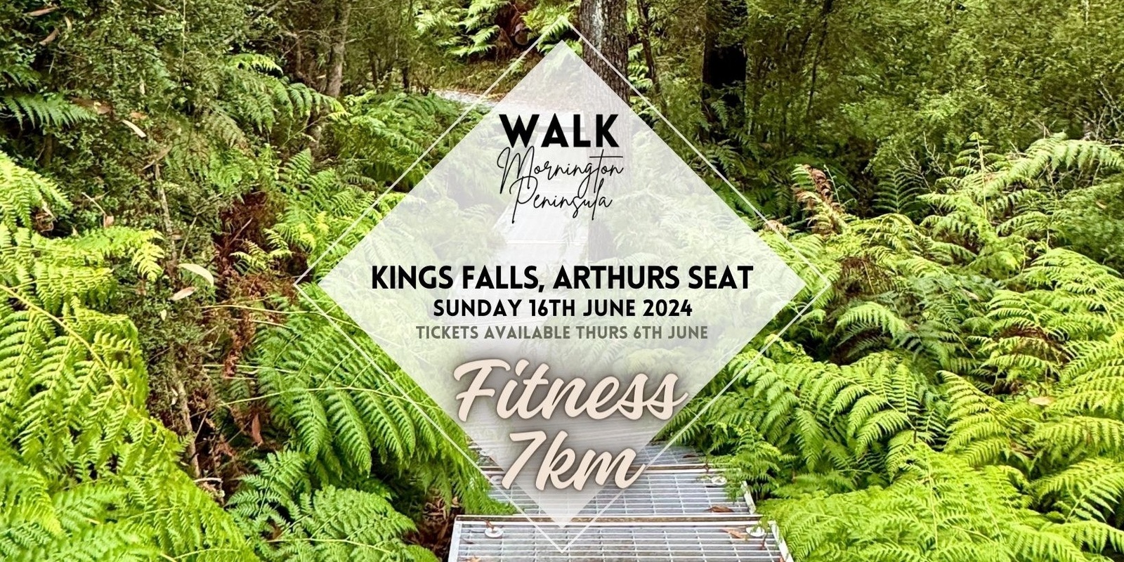 Banner image for Arthurs Seat - Kings Falls 