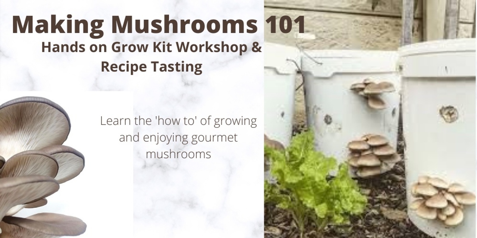 Banner image for Making Mushrooms 101