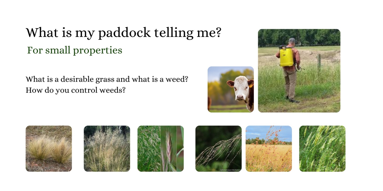 Banner image for What is my paddock telling me? 