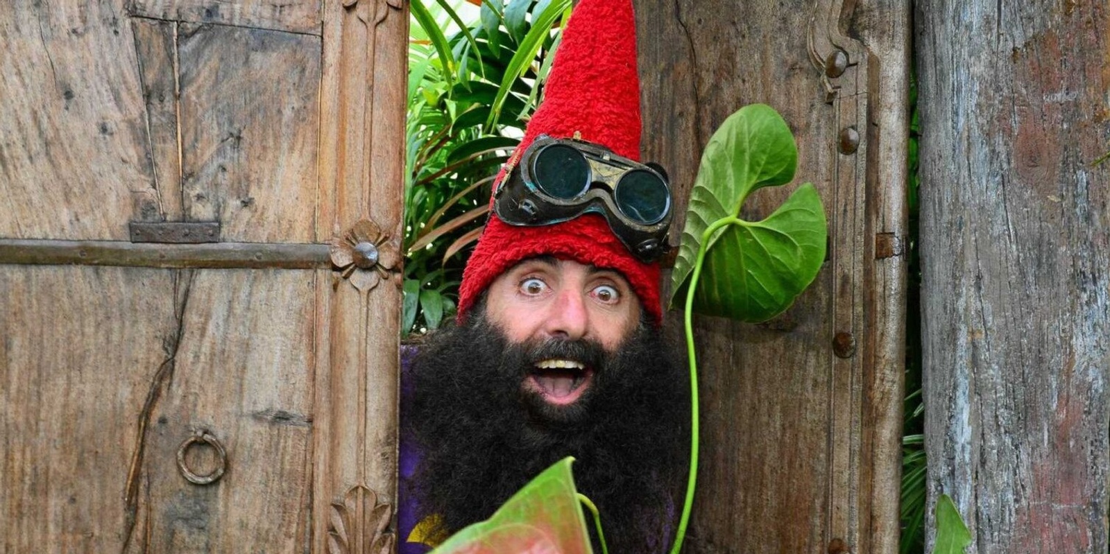 Banner image for 'Costa's Garden: Flowers' Mullumbimby Book Launch with Costa the Garden Gnome, Brenna Quinlan, Formidable Vegetable & Secret Agent 23 Skidoo