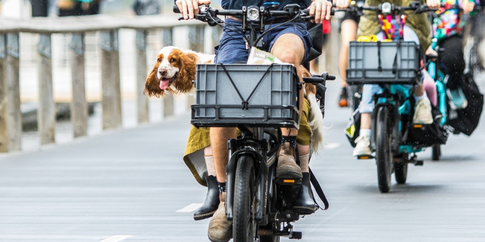 Banner image for Sydney Good Movers do Barangaroo!