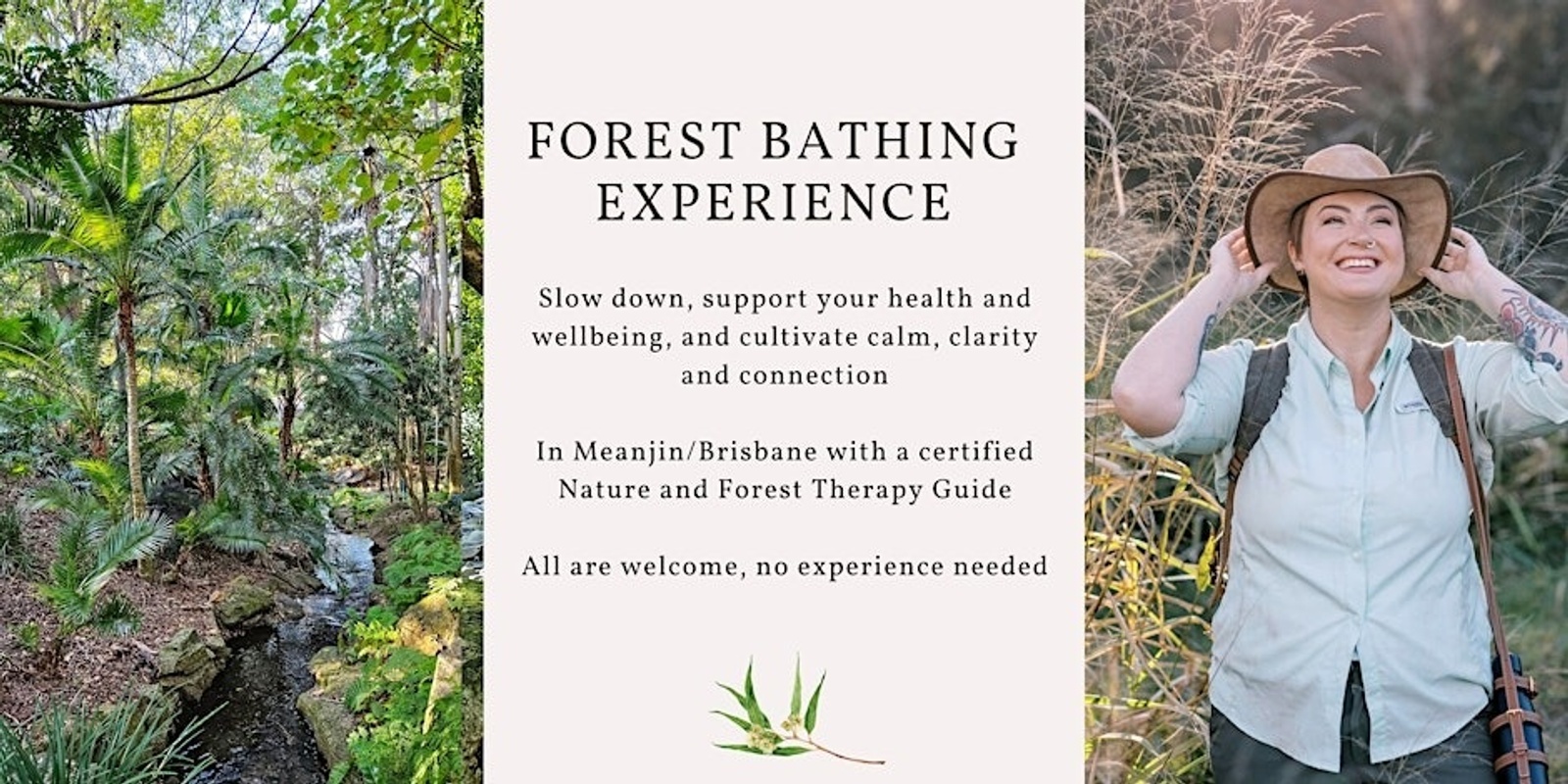 Banner image for Forest Bathing - Experience A Mindful Wander in Nature (Brisbane)