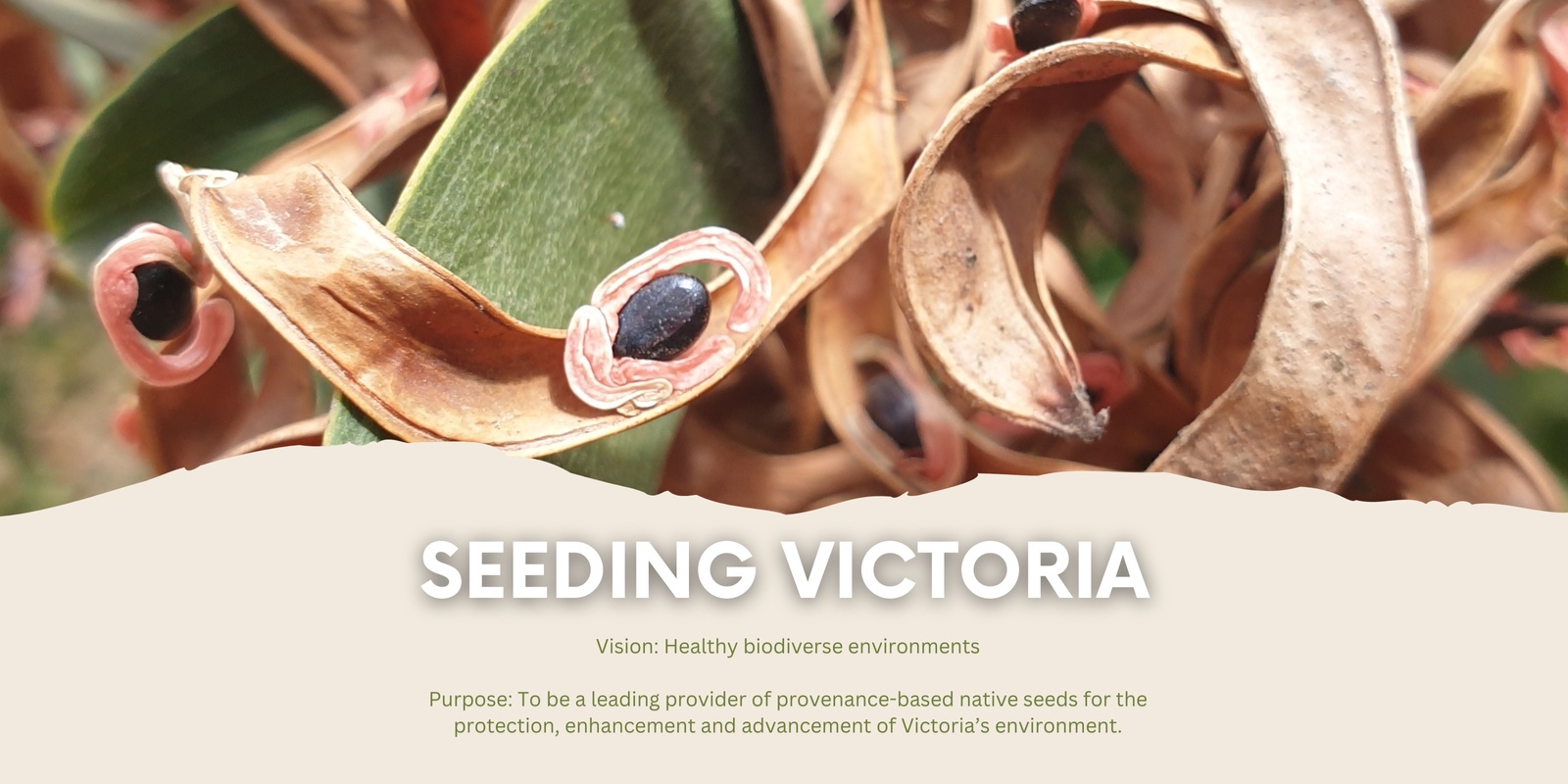Seeding Victoria's banner