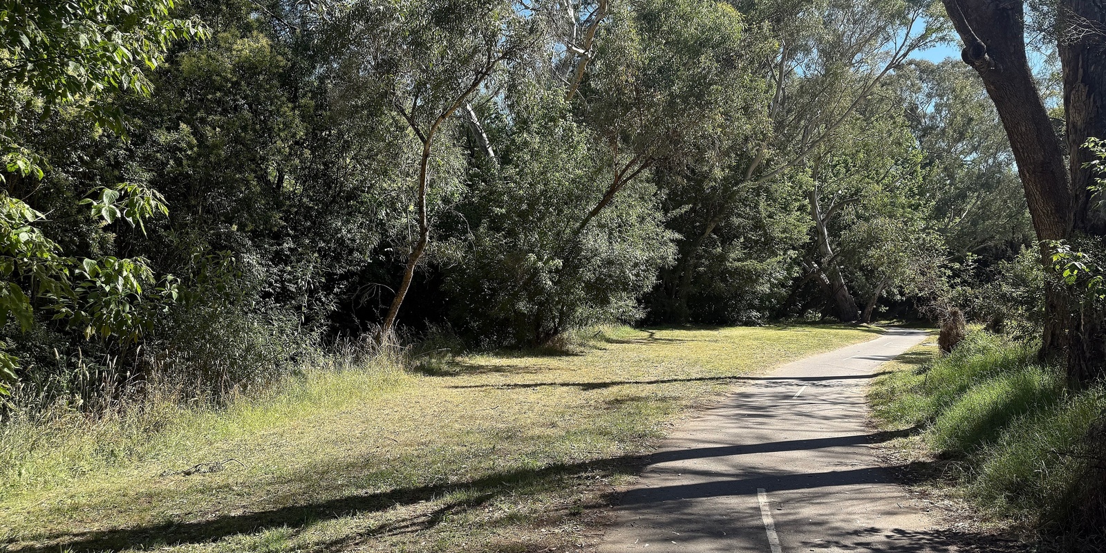 Banner image for Pioneer Park Community Stewardship Morning