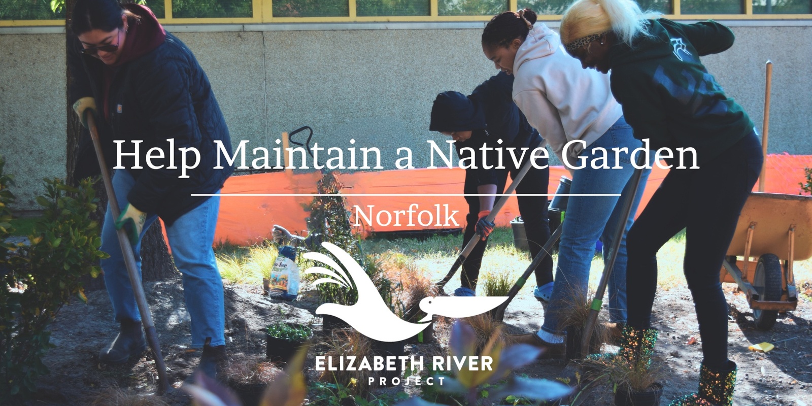 Banner image for Help Maintain a Native Garden