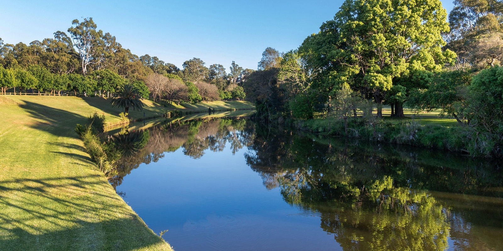 Banner image for Paint the River for World Rivers Day