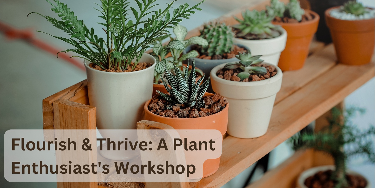 Banner image for Flourish & Thrive: A Plant Enthusiast's Workshop