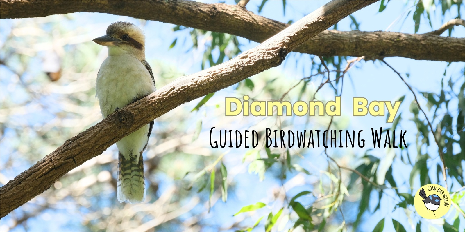 Banner image for Diamond Bay Bird Walk - December