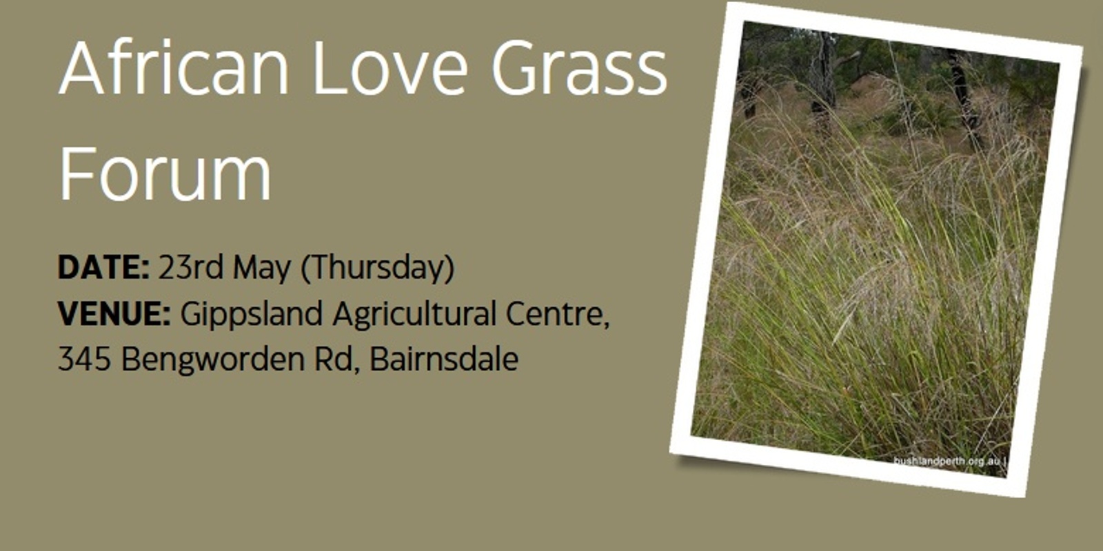 Banner image for African Love Grass Forum