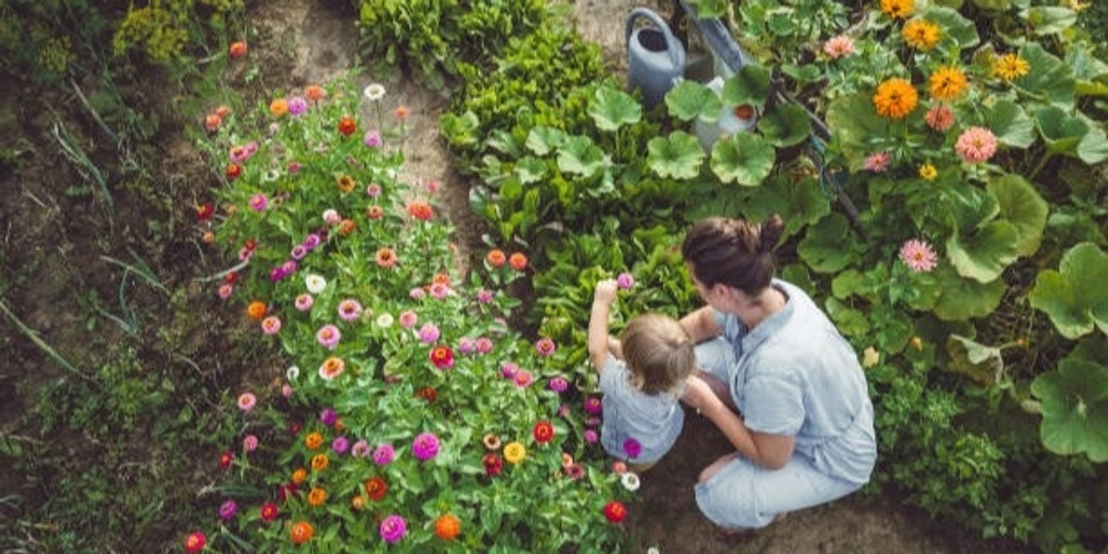 Banner image for Garden Ecology – Learn about Plant Communities Workshop