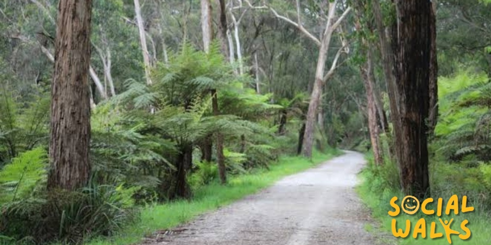 Melbourne Social Walks Warburton Rail Trail Easy 12km Humanitix