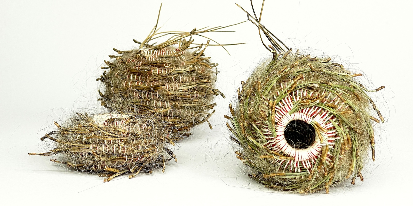 Banner image for Workshop | Coiled Sculptures with Carmel Wallace