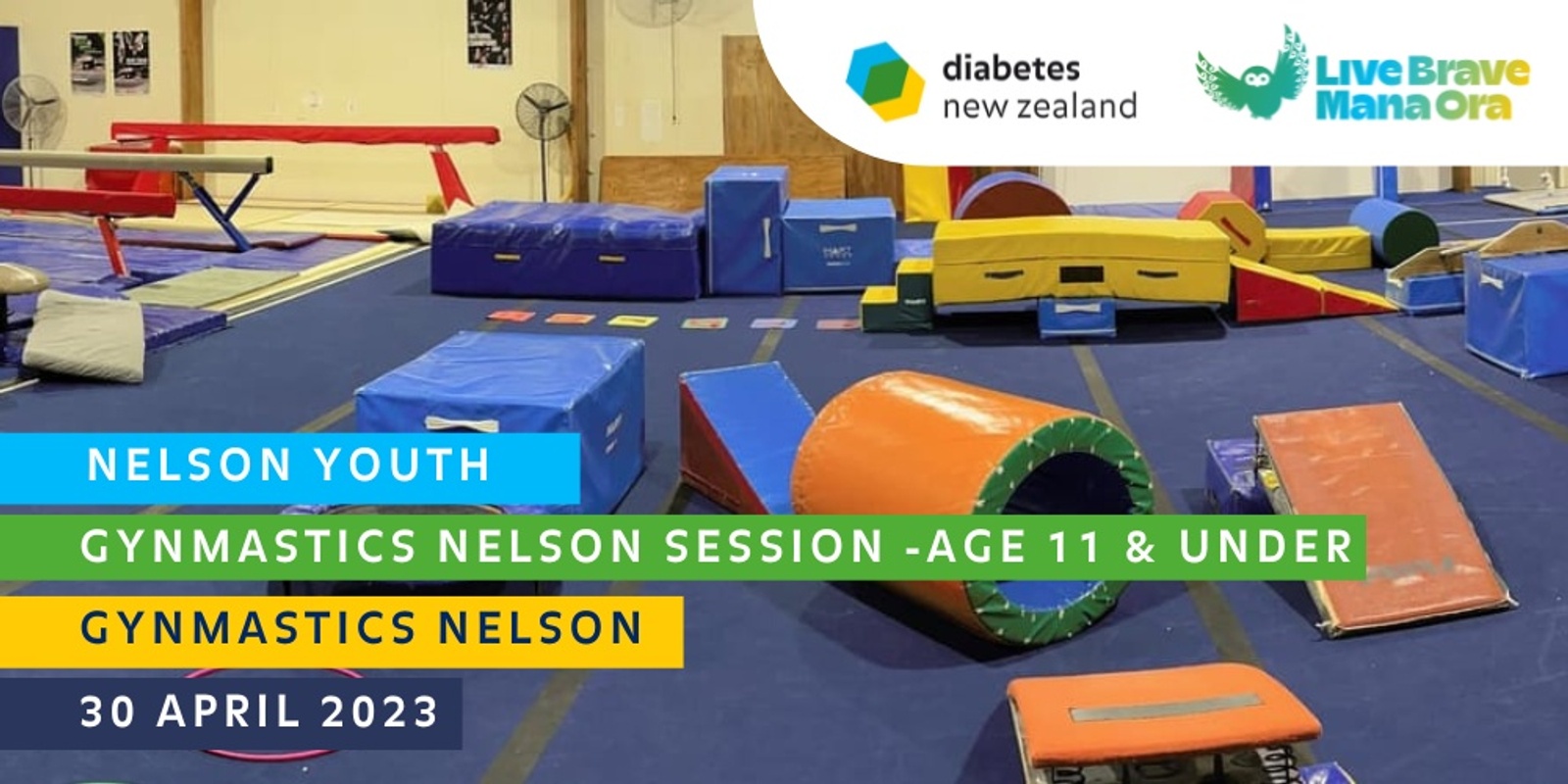 Banner image for Diabetes NZ Nelson Youth - Nelson Gymnastics Session (11 & Under)