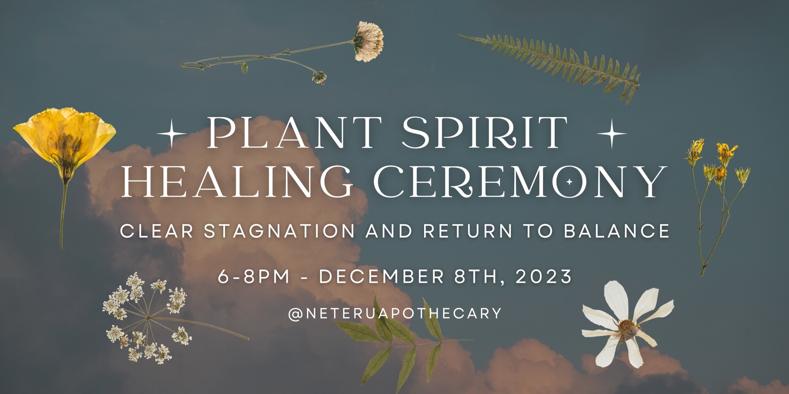 Banner image for Plant Spirit Healing Ceremony: Clear stagnation and return to balance of mind, body, and spirit.