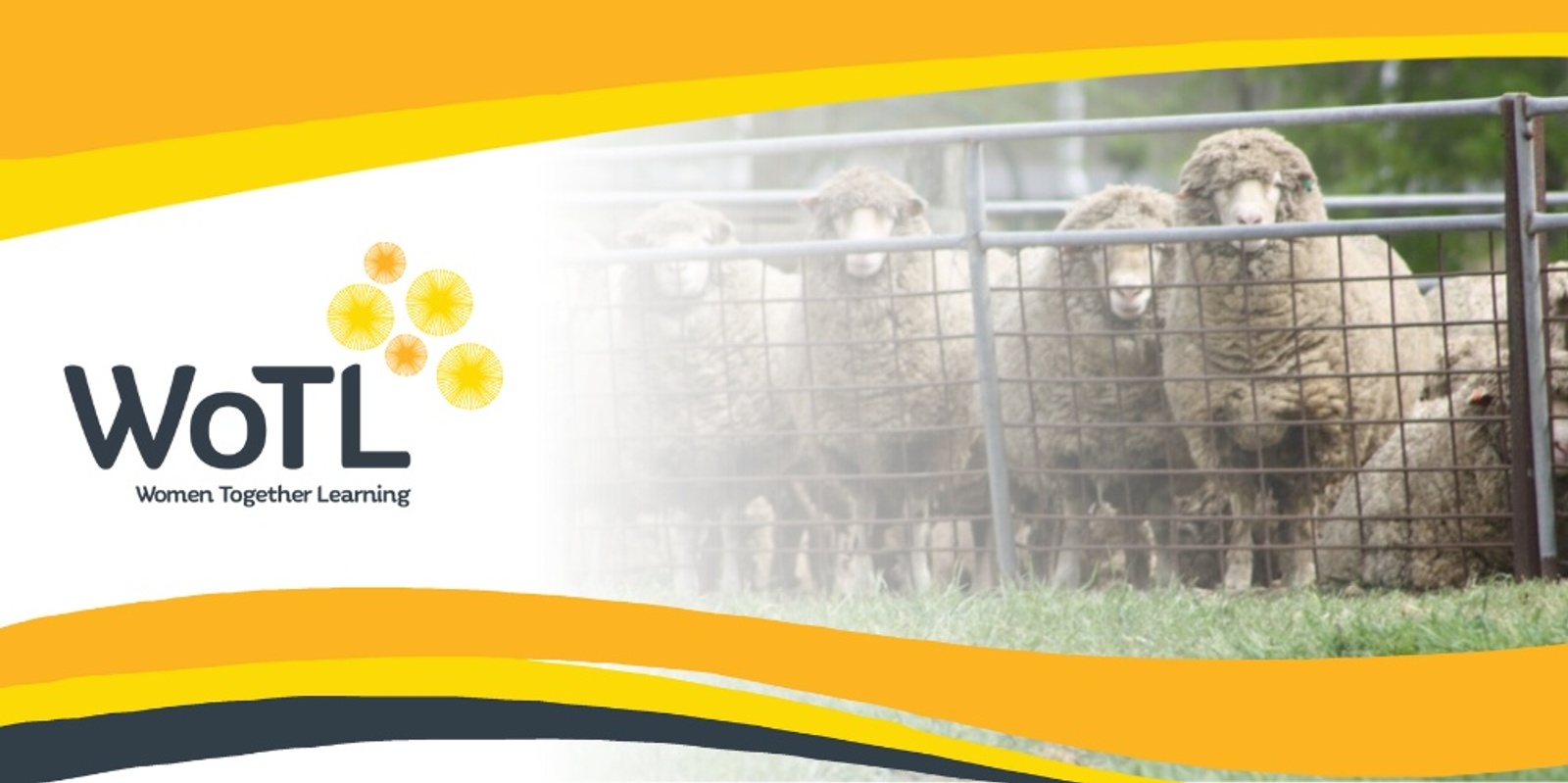 Banner image for Managing Your Ewe and Lamb Nutrition for Optimal Performance - Cummins