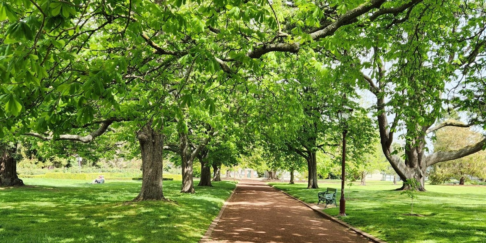 Banner image for Forest Therapy Session | Ballarat Botanical Gardens | Saturday 18th January 2025