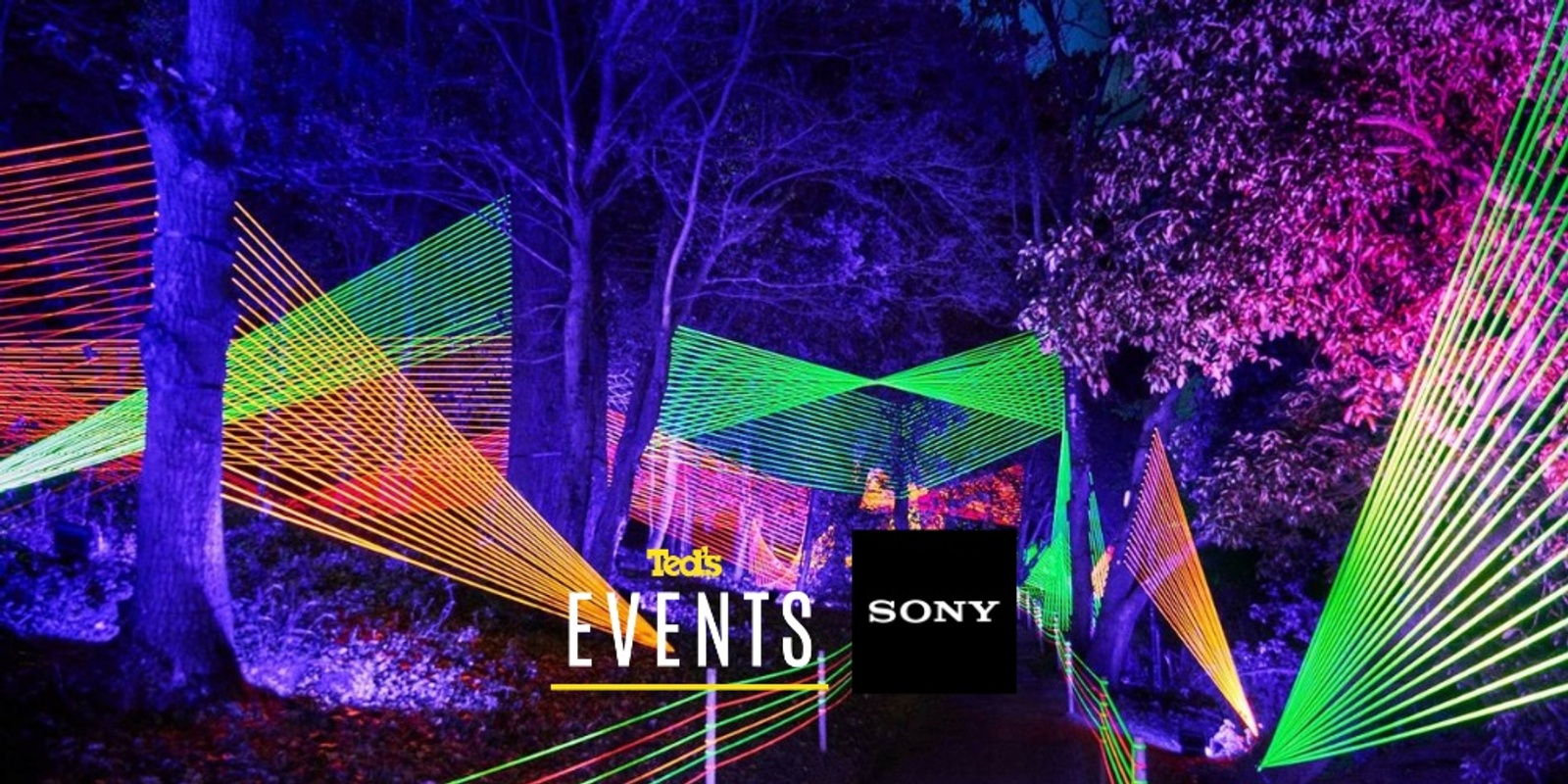 Banner image for Sony - Lightscapes Photo Walk | Melbourne (119550)