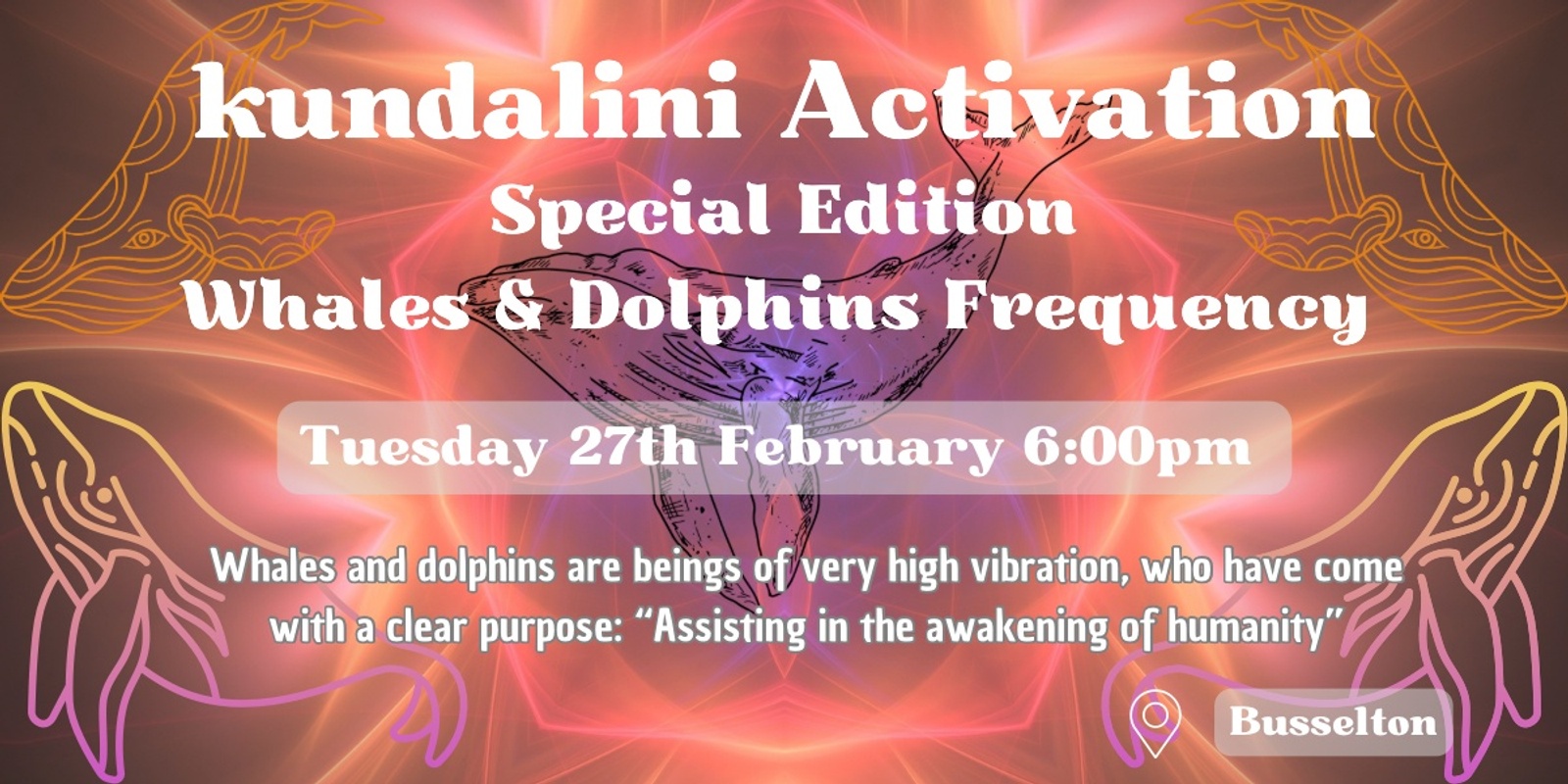 Tuesday 27th Feb - KA & Inner Dance (Special Whales & Dolphins Edition