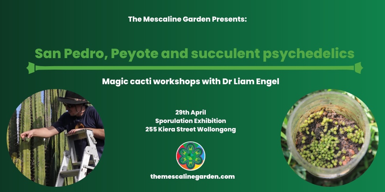 Banner image for Psychedelic cacti workshops