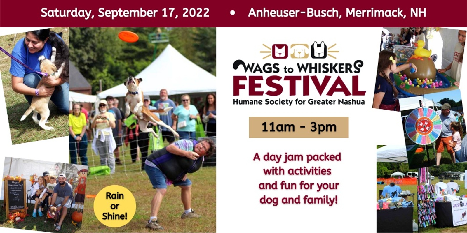 Banner image for Wags to Whiskers Festival 2022