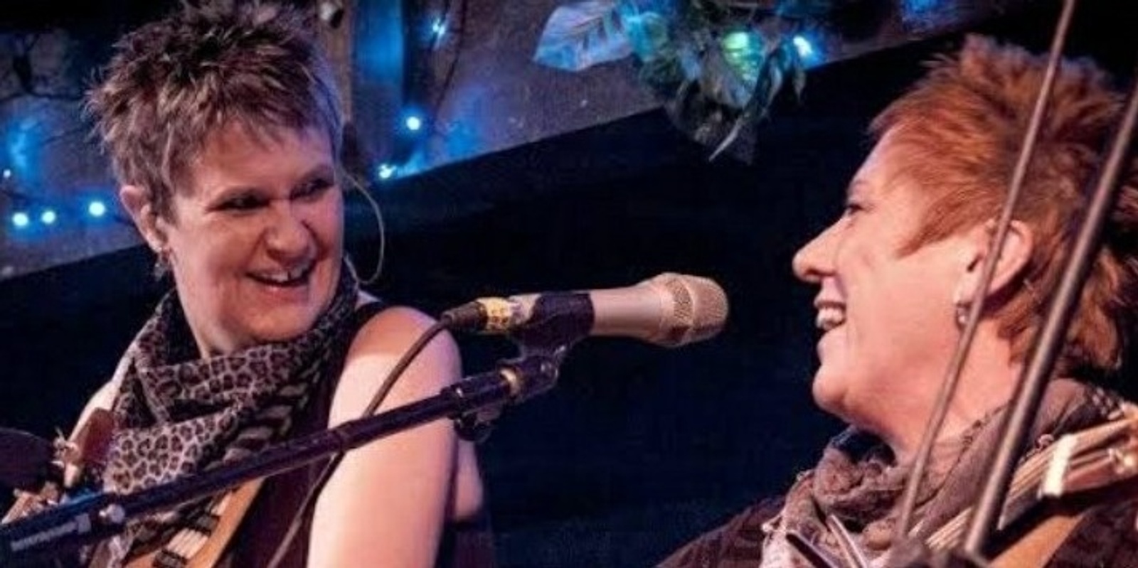 Banner image for Chris While and Julie Mathews House Concert