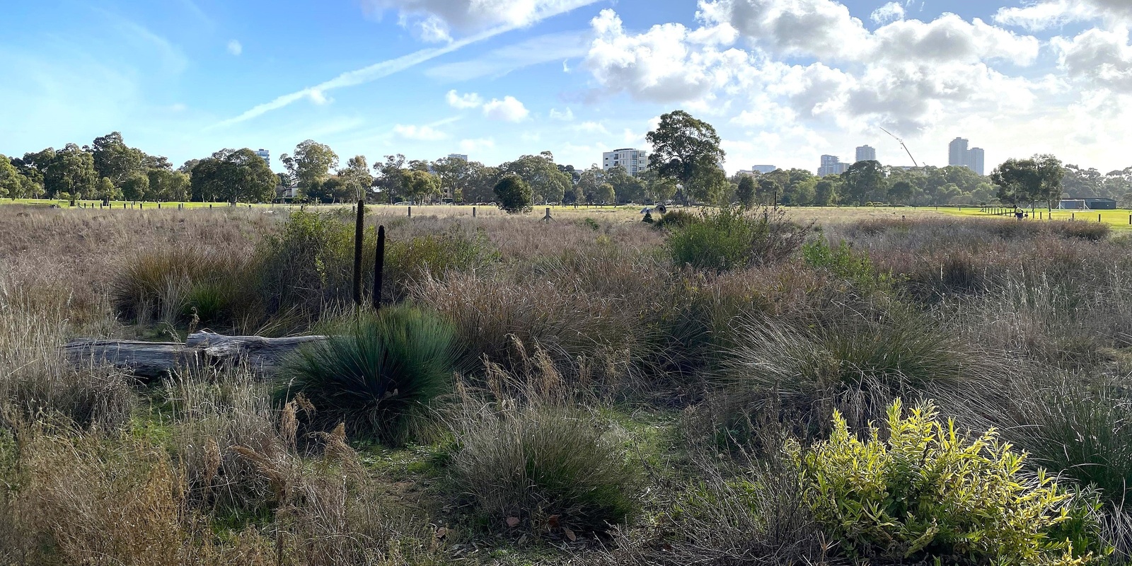 Banner image for South East Park Lands AWEsome Walking Tour